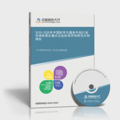 2020-2025年中國軟件與服務外包行業(yè)市場供需及重點企業(yè)投資評估研究分析