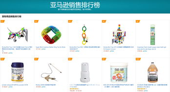 英語(yǔ)西班牙語(yǔ)外包客服助力寵物產(chǎn)品跨境電商提升客戶滿意度，挺進(jìn)美國(guó)市場(chǎng)